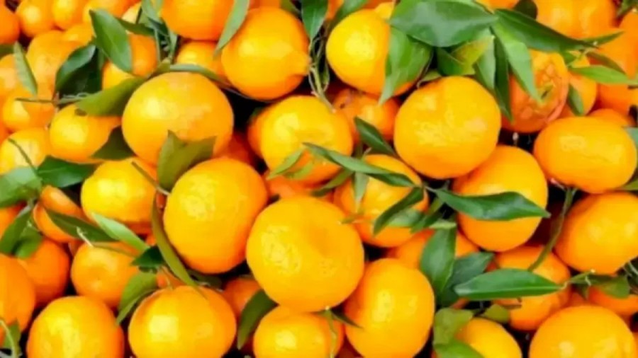 Optical Illusion: Spot The Flower Among These Tangerines In Less Than 16 Seconds