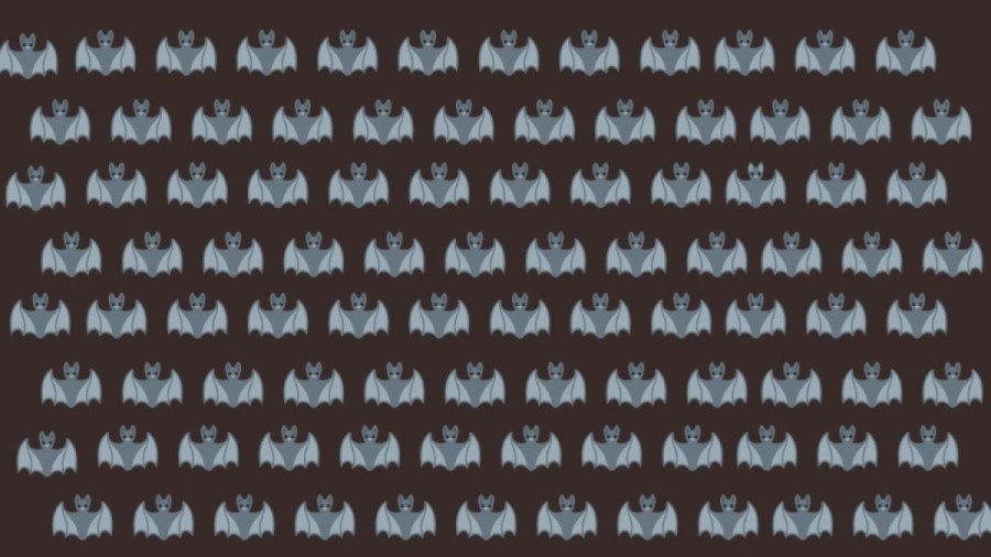 Optical Illusion To Test Your Brain! You Have 26 Seconds. Try To Identify The Different Bat. Your Time Starts Now!