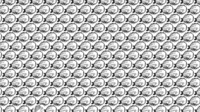 Optical Illusion To Trick Your Eyes: Within 10 Seconds, Spot The Hidden Porcupine In This Optical Illusion