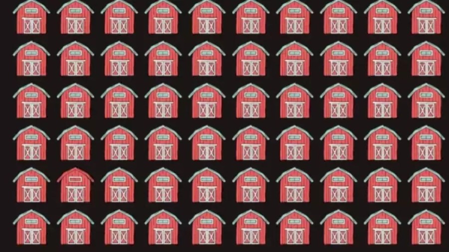 Optical Illusion Visual Test: Can You Spot The Different Barn?