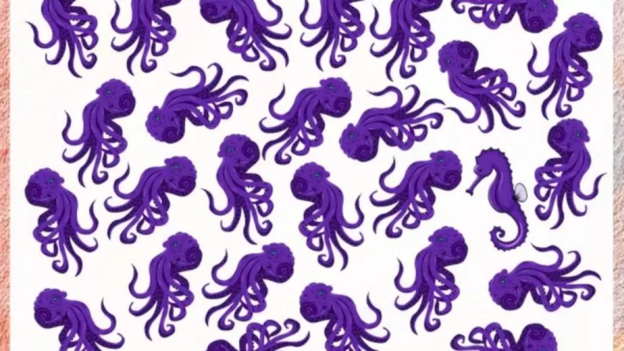 Optical Illusion: Within 8 Seconds, Identify The Seahorse Among These Octopus If You Are A Genius
