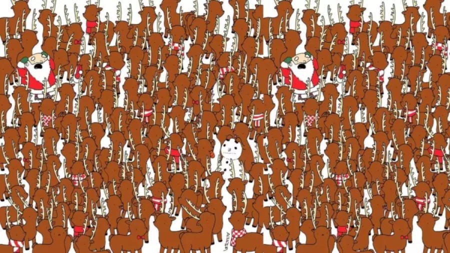Optical Illusion for Eye Test: Can You Spot The Bear Among These Deer Within 12 Seconds?