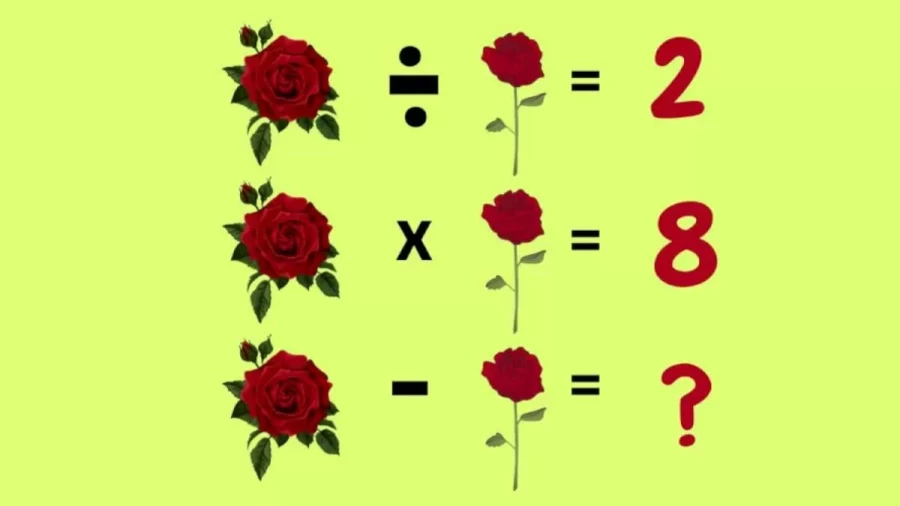 Solve This Hard Math Puzzle And Find The Value Of Rose In This Brain Teaser