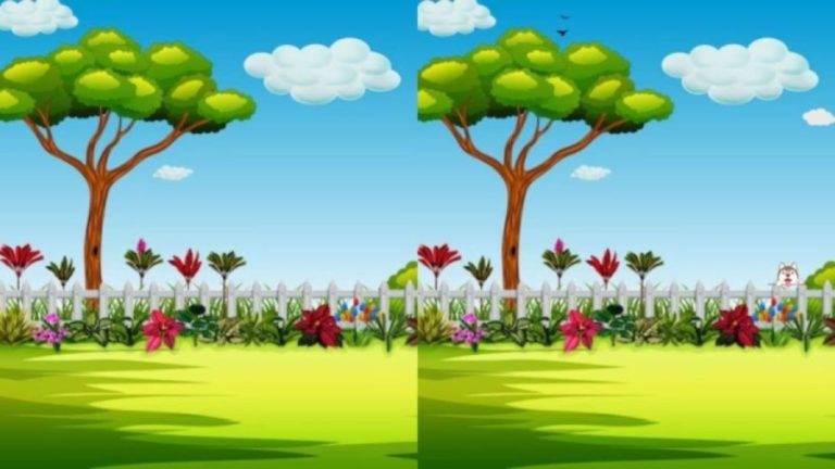 Spot the difference: Only a genius can find the 3 differences in less than 12 seconds!