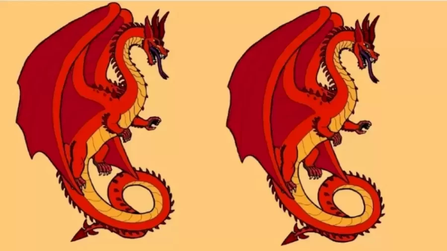 These Two Dragons Are Not The Same. Can You Circle All The Difference You See In This Brain Teaser Picture Puzzle?
