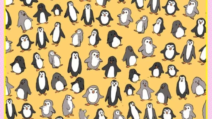 What is the Fox Doing Here Among These Penguins. Locate the Fox in This Optical Illusion Within 15 Seconds