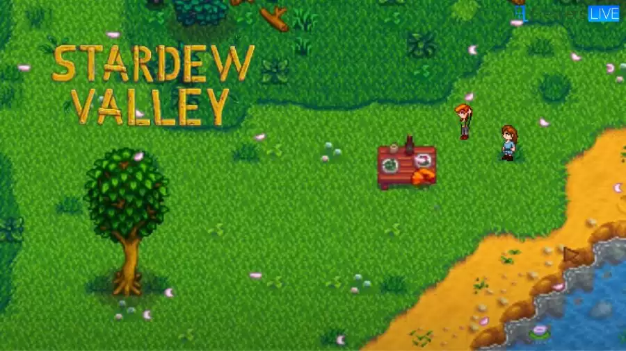 Where to Find Leah Stardew Valley? A Complete Guide