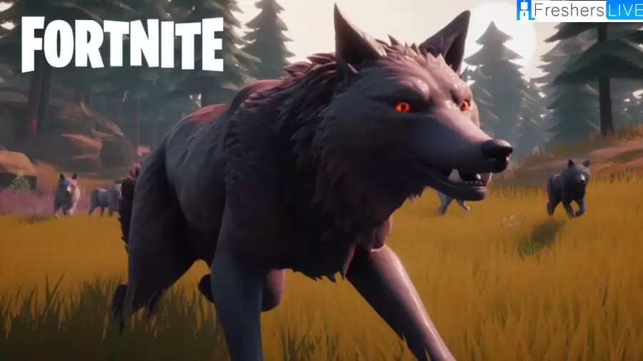 Where to Find Wolves and Boars in Fortnite? Where Do Wolves and Boars Spawn in Fortnite?