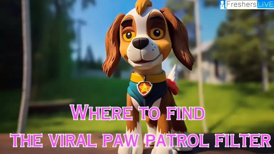 Where to Find the Viral Paw Patrol Filter? How to Use It?