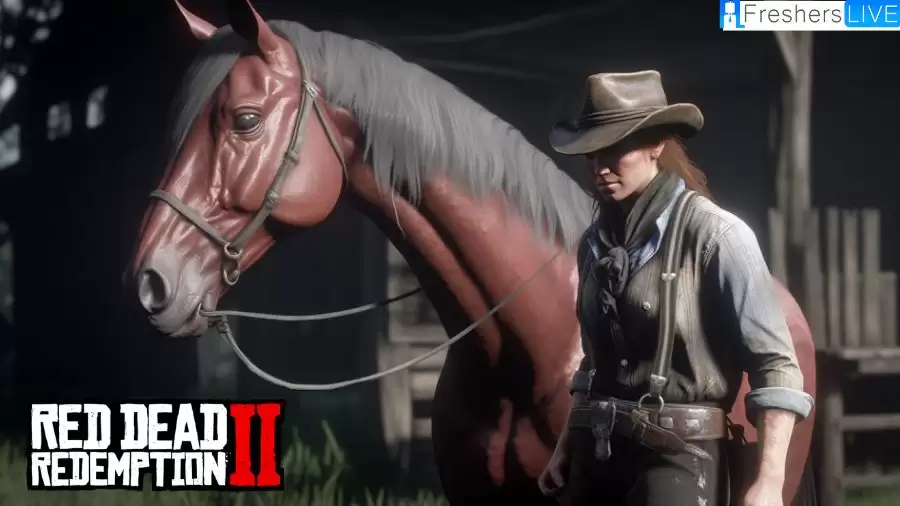 Where to Get Horse Brush Red Dead Redemption 2 Online?, How to Brush Your Horse in Red Dead Redemption 2?