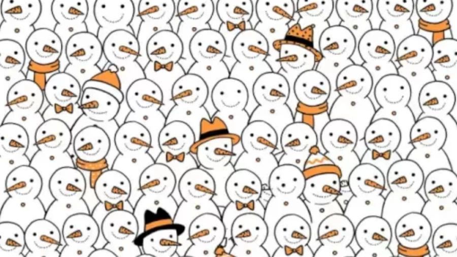 Optical Illusion Brain Test: You Are An Intelligent If You Spot The Five Hidden Noseless Snowmen In This Image In Less Than 16 Seconds