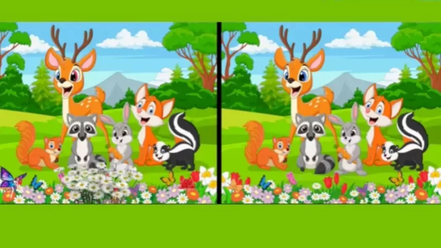 Brain Teaser: Can You Find 5 Differences In This Eye Brain Power Game?