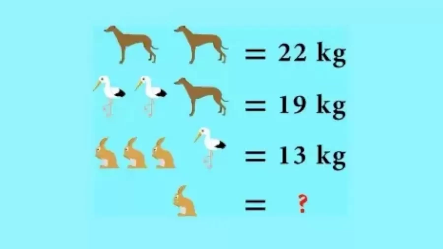 Brain Teaser - Can You Find The Weight Of The Rabbit In This Math Puzzle?
