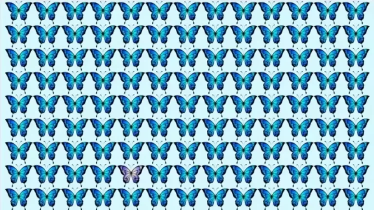 Brain Teaser - Can You Spot The Odd Butterfly In This Image In 30 Secs? Picture Puzzle