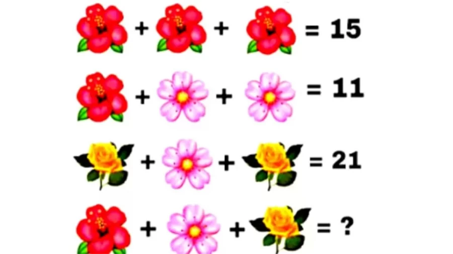 Brain Teaser IQ Test: Solve This Flower Math Puzzle