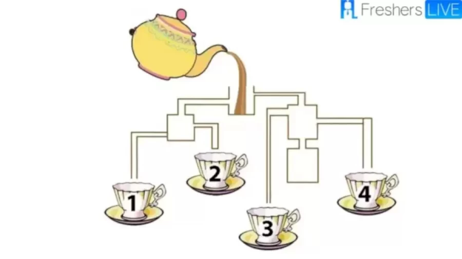 Brain Teaser Logic Puzzle: Find Out Which Cup Will Fill First In Picture In 30 Secs