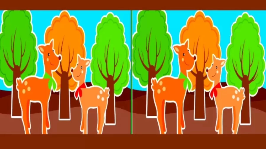 Brain Teaser - Spot 3 Differences Between These Two Picture Puzzles In 25 Secs
