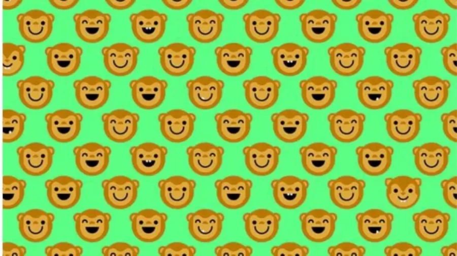 Can You Find The 4 Squirrels Among The Monkeys Within 18 Secs? Only A Few Can Get It! Explanation And Solution To The Squirrels Optical Illusion