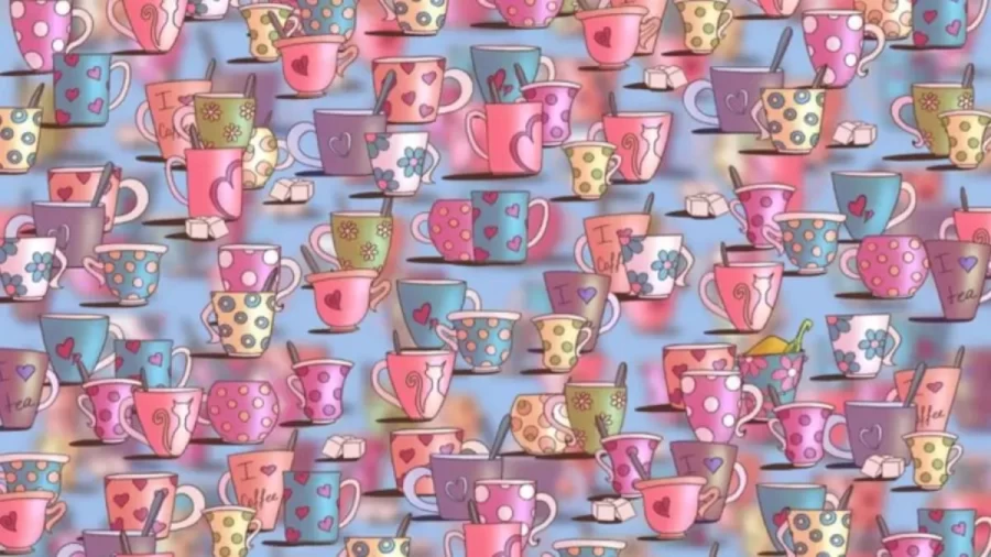 Can You Find The Hidden Bucket Of Sand Among These Cups Within 10 Seconds? Explanation And Solution To The Hidden Bucket Of Sand Optical Illusion