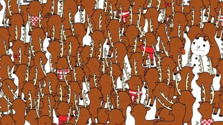 Can You Find The Hidden Reindeer In This Image Within 10 Seconds? Explanation And Solution To The Hidden Reindeer Optical Illusion