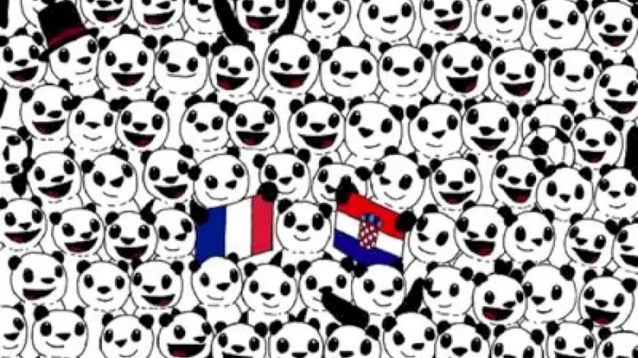 Can You Spot The Football Hidden Among These Pandas Within 15 Seconds? Explanation And Solution To The Hidden Football Optical Illusion