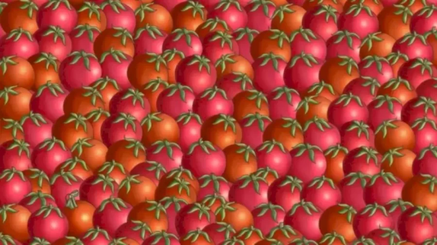 Can You Spot The Hidden Christmas Ball Among These Tomatoes Within 10 Seconds? Explanation And Solution To The Hidden Christmas Ball Optical Illusion