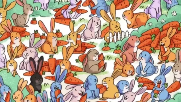 Can You Spot The Hidden Cone Among These Carrots Within 20 Seconds?