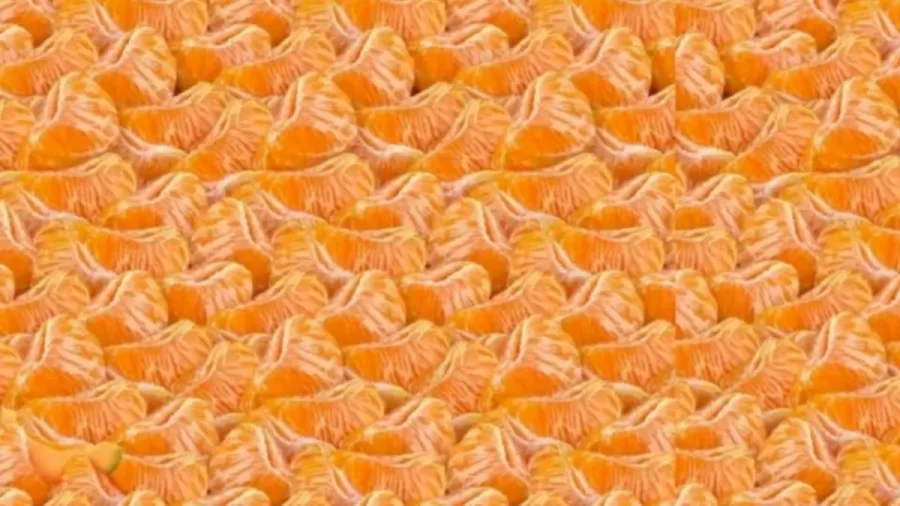 Can You Spot the Melon in this Image within 12 Seconds? Explanation and Solution To The Optical Illusion