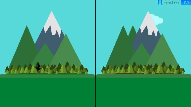 Find The Difference - Can You Find All The Difference In 25 Secs? Brain Teaser