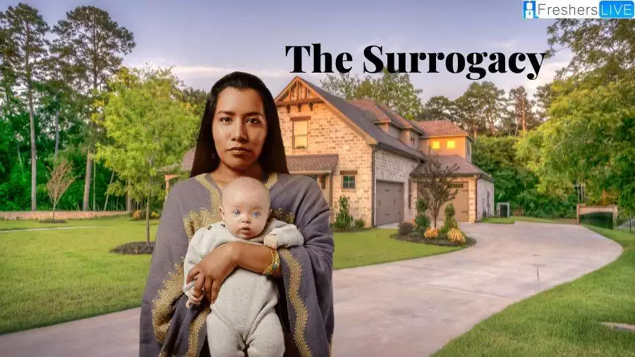 Is The Surrogacy on Netflix Based on a True Story? Review and Cast