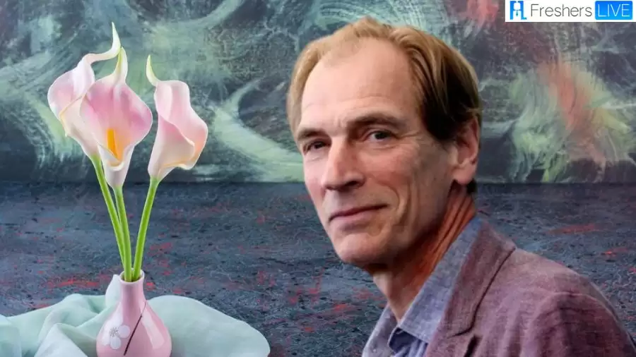 Julian Sands Passed Away: What Happened to Julian Sands? How Did ‘Warlock’ Star Julian Sands Die?