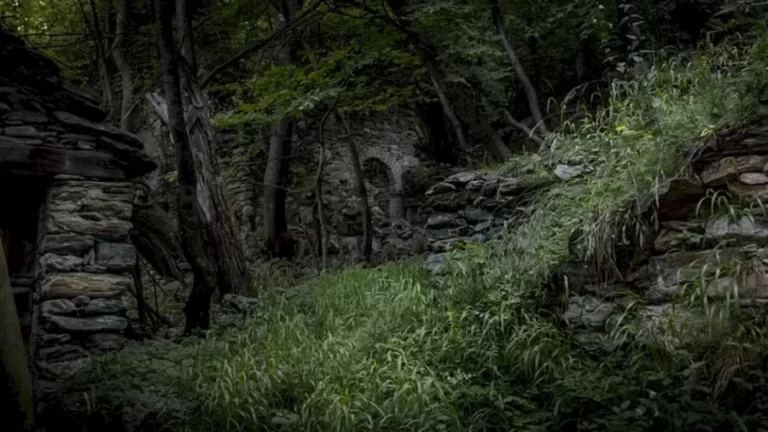 Optical Illusion Brain Test: Find The Coyote In Less Than 15 Seconds In This Ruins Image