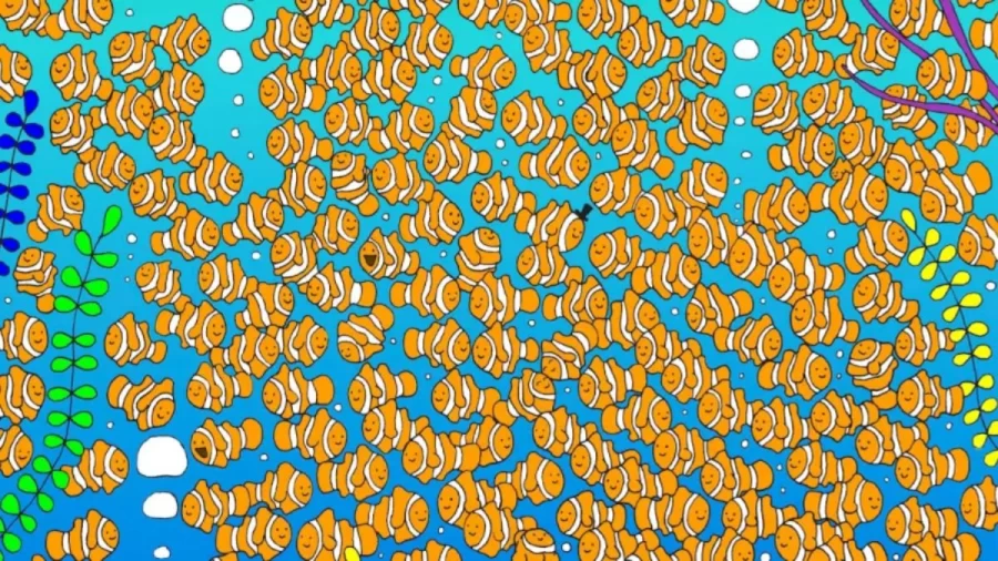 Optical Illusion: Can You Spot a Goldfish Hidden among these Clownfish Within 18 Seconds? Explanation and Solution to the Hidden Goldfish Optical Illusion