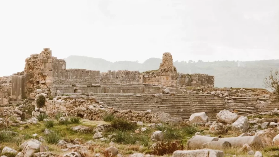 Optical Illusion Challenge: Are You Smart Enough To Locate The Cougar In This Ruins In Less Than 15 Seconds?