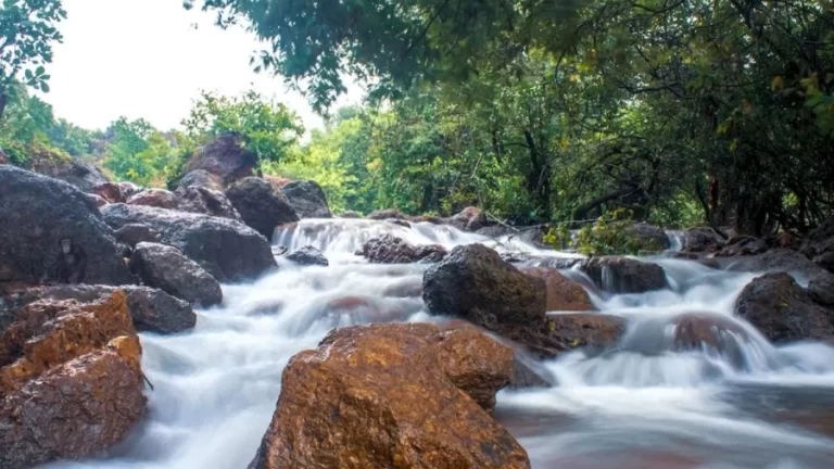 Optical Illusion Challenge: Do You See The Chimpanzee In This Waterfall?