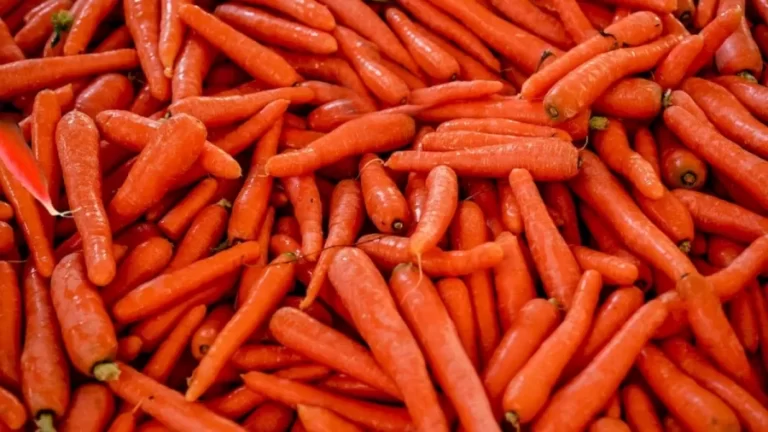 Optical Illusion Eye Test: Finding The Red Radish Among These Carrots Is Not Easy As It Looks. Do You Want To Try It?