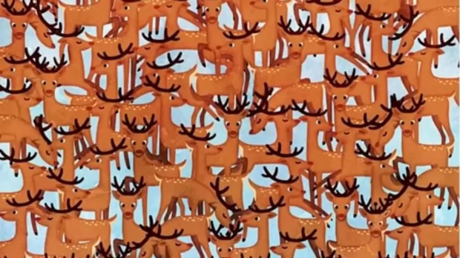 Optical Illusion Eye Test: There Is A Robotic Reindeer Hidden Among These Reindeers. Can You Spot It?