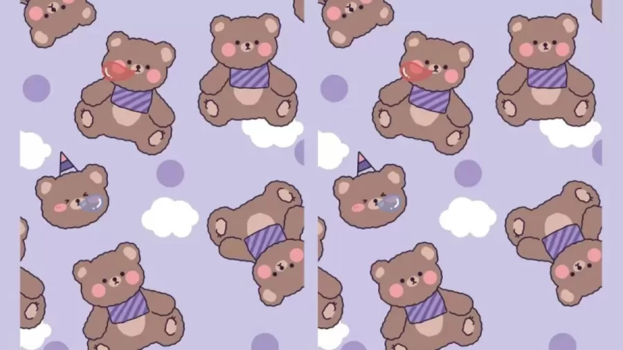 Optical Illusion: Find The Fish Among These Cute Teddy Bears