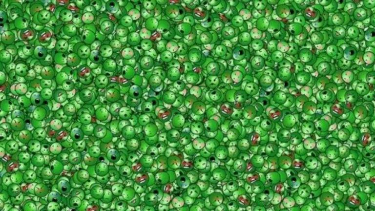 Optical Illusion For IQ Test: Can You Spot The Laughing Pea in 18 Secs?