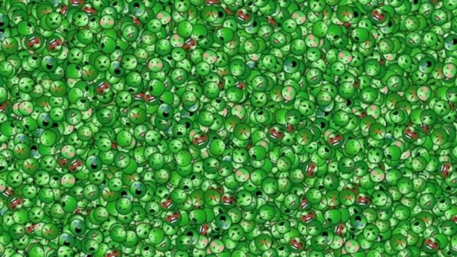 Optical Illusion For IQ Test: Can You Spot The Laughing Pea in 18 Secs?