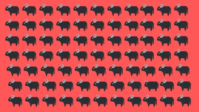 Optical Illusion To Test Your Eyes! Identify The Bull Among These Buffaloes Within 14 Seconds