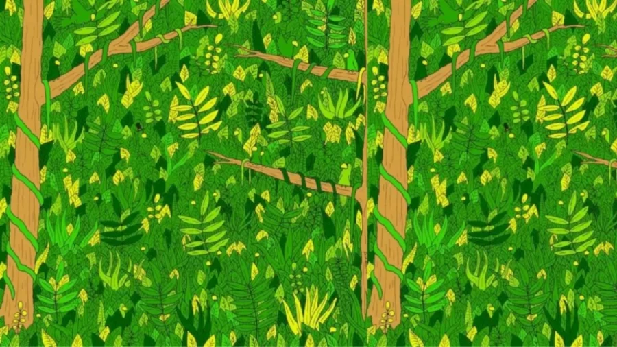 Optical Illusion Visual Test: In Less Than 26 Seconds, Can You Locate The Well Hidden Snake?