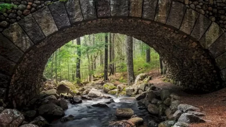 Optical Illusion Visual Test: You Need Sharp Eyes to Spot the Jackal in this Image of a Bridge. Do You Want to Try It?