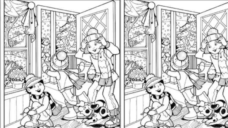 Optical Illusion Eye Test: Only 1% Can Spot The Hidden Glove In the Christmas Hall Picture within 7 secs!