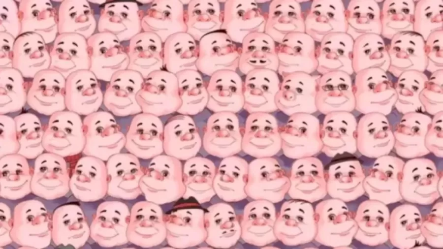 Pig Search Optical Illusion: Try To Find A Hidden Pig Among These Faces Within 12 Seconds?