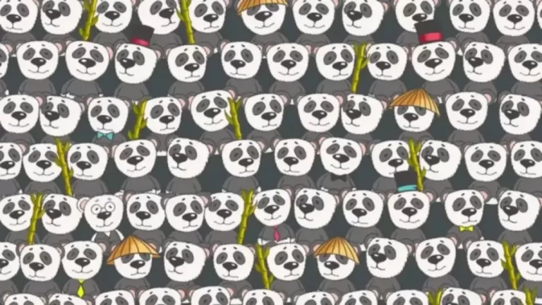 Polar Bear Among Pandas! In Less Than 15 Seconds, Detect The Polar Bear In This Optical Illusion