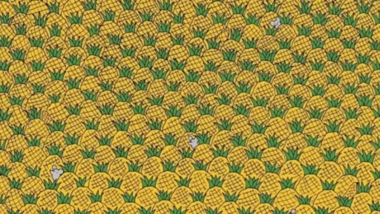 Seek And Find Optical Illusion: Eagle Eyes Can Spot Four Corns Among the Pineapples in 45 Secs