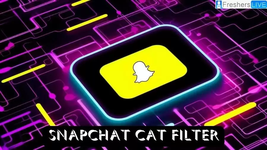 Snapchat Cat Filter: How to Use It? A Complete Guide