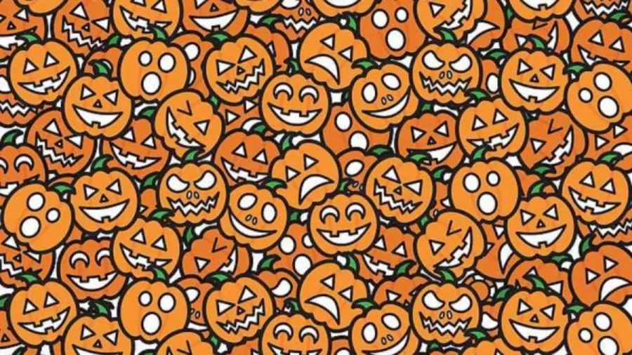 Spot the Difference: Can You Find the Poker Chip Among the Pumpkins? Explanation and Solution to the Optical Illusion