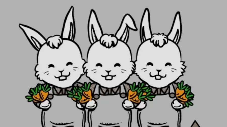 The Farmer Legs Optical Illusion: How Many Legs Can You Count On The Three Rabbits Below?